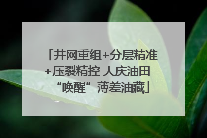 井网重组+分层精准+压裂精控 大庆油田“唤醒”薄差油藏