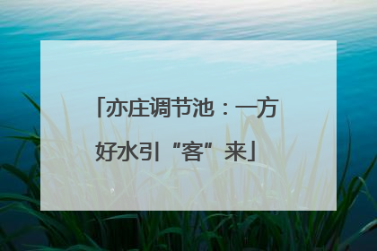 亦庄调节池：一方好水引“客”来