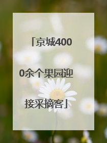 京城4000余个果园迎接采摘客