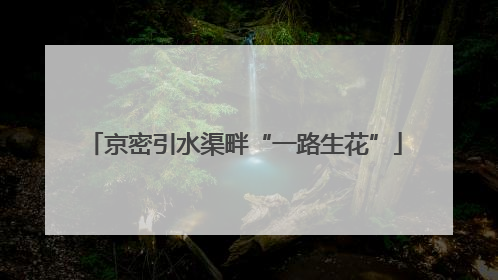 京密引水渠畔“一路生花”