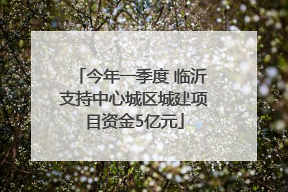今年一季度 临沂支持中心城区城建项目资金5亿元