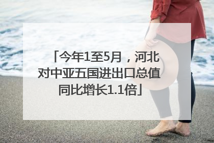 今年1至5月，河北对中亚五国进出口总值同比增长1.1倍