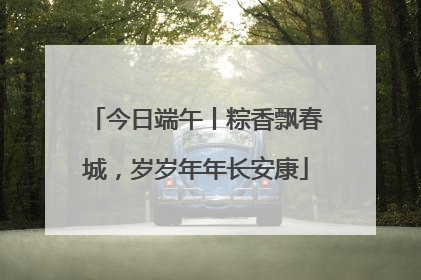 今日端午丨粽香飘春城，岁岁年年长安康