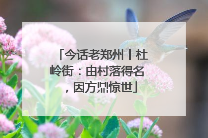 今话老郑州丨杜岭街：由村落得名，因方鼎惊世