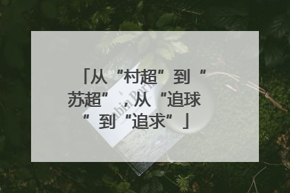 从“村超”到“苏超”，从“追球”到“追求”