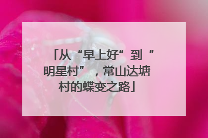 从“早上好”到“明星村”，常山达塘村的蝶变之路