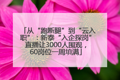 从“跑断腿”到“云入职”：新泰“入企探岗”直播让3000人围观，60岗位一周填满
