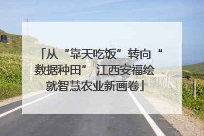 从“靠天吃饭”转向“数据种田” 江西安福绘就智慧农业新画卷