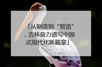 从制造到“智造”，吉林奋力谱写中国式现代化新篇章