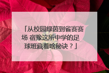 从校园绿茵到省赛赛场 宿豫这所中学的足球班藏着啥秘诀？