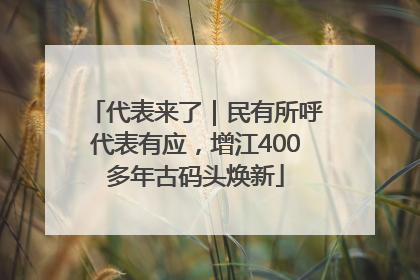 代表来了｜民有所呼代表有应，增江400多年古码头焕新