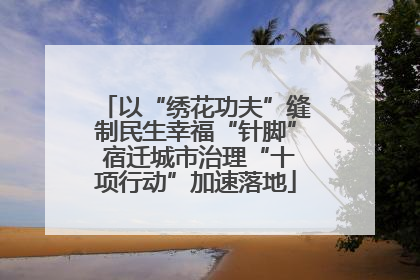 以“绣花功夫”缝制民生幸福“针脚” 宿迁城市治理“十项行动”加速落地
