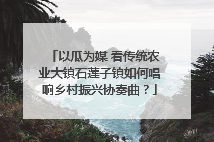 以瓜为媒 看传统农业大镇石莲子镇如何唱响乡村振兴协奏曲？