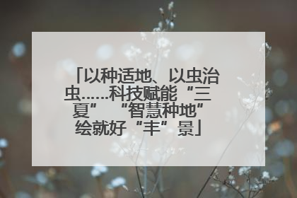 以种适地、以虫治虫……科技赋能“三夏” “智慧种地”绘就好“丰”景
