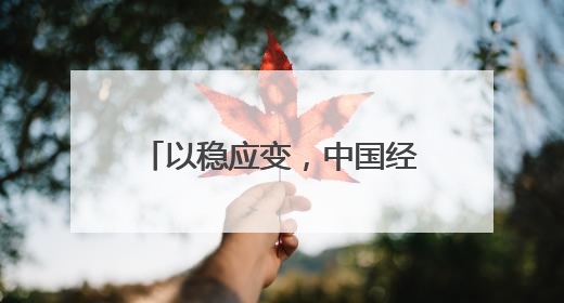 以稳应变，中国经济展现韧性与潜力