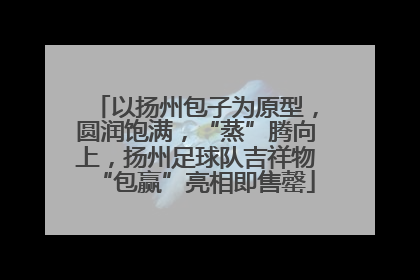 以扬州包子为原型，圆润饱满，“蒸”腾向上，扬州足球队吉祥物“包赢”亮相即售罄