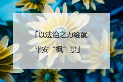 以法治之力绘就平安“枫”景