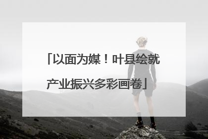 以面为媒！叶县绘就产业振兴多彩画卷