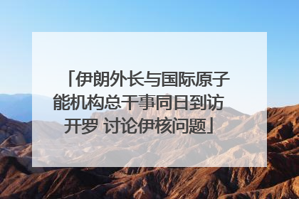 伊朗外长与国际原子能机构总干事同日到访开罗 讨论伊核问题