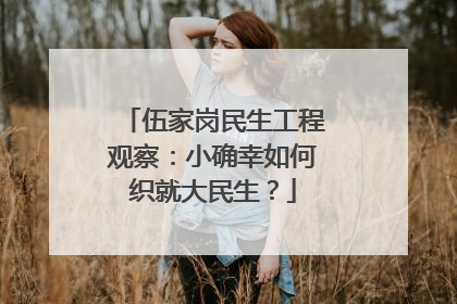 伍家岗民生工程观察：小确幸如何织就大民生？