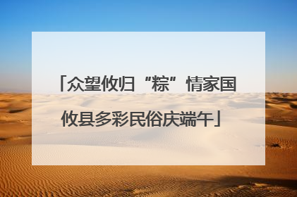 众望攸归“粽”情家国 攸县多彩民俗庆端午