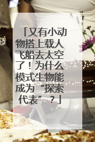 又有小动物搭上载人飞船去太空了！为什么模式生物能成为“探索代表”？