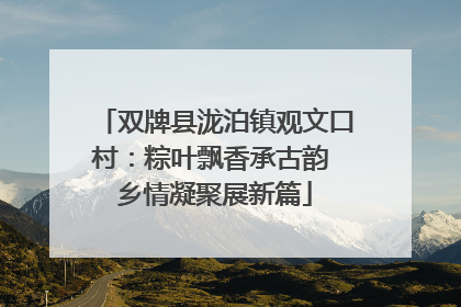 双牌县泷泊镇观文口村：粽叶飘香承古韵 乡情凝聚展新篇