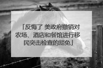 反悔了 美政府撤销对农场、酒店和餐馆进行移民突击检查的豁免