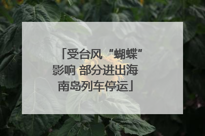 受台风“蝴蝶”影响 部分进出海南岛列车停运