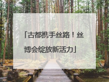 古都携手丝路！丝博会绽放新活力