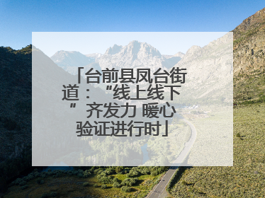 台前县凤台街道：“线上线下”齐发力 暖心验证进行时