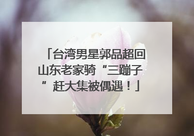 台湾男星郭品超回山东老家骑“三蹦子”赶大集被偶遇！