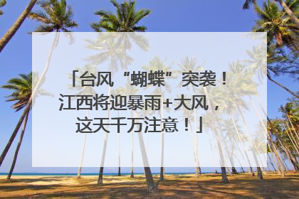 台风“蝴蝶”突袭！江西将迎暴雨+大风，这天千万注意！