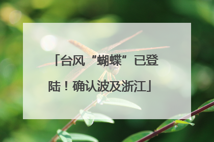 台风“蝴蝶”已登陆！确认波及浙江