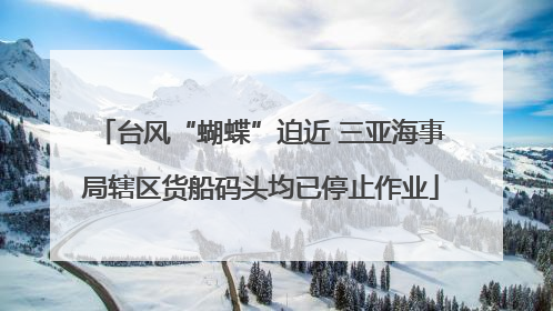 台风“蝴蝶”迫近 三亚海事局辖区货船码头均已停止作业