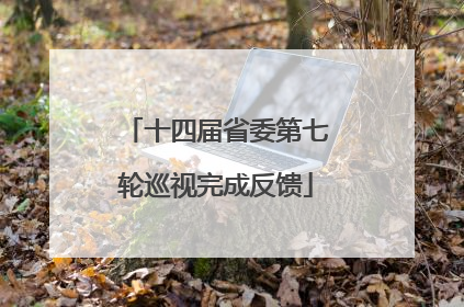 十四届省委第七轮巡视完成反馈