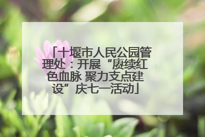 十堰市人民公园管理处：开展“赓续红色血脉 聚力支点建设”庆七一活动