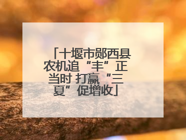 十堰市郧西县农机追“丰”正当时 打赢“三夏”促增收