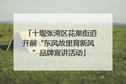 十堰张湾区花果街道开展“东风故里育新风”品牌宣讲活动