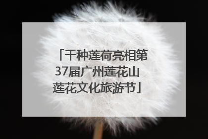 千种莲荷亮相第37届广州莲花山莲花文化旅游节