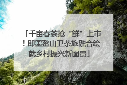 千亩春茶抢“鲜”上市！即墨鳌山卫茶旅融合绘就乡村振兴新图景