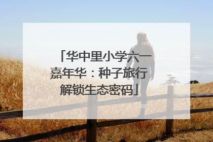 华中里小学六一嘉年华：种子旅行解锁生态密码
