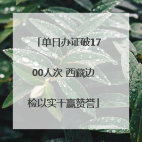 单日办证破1700人次 西藏边检以实干赢赞誉