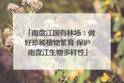 南盘江国有林场：做好珍稀植物繁育 保护南盘江生物多样性