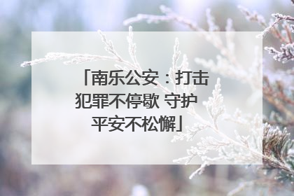 南乐公安：打击犯罪不停歇 守护平安不松懈