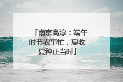 南京高淳：端午时节农事忙，夏收夏种正当时