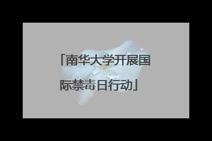 南华大学开展国际禁毒日行动