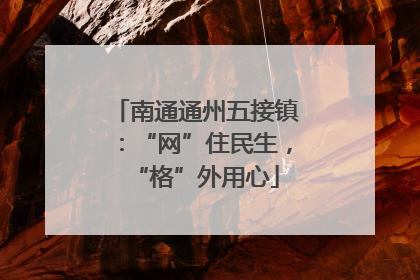 南通通州五接镇：“网”住民生，“格”外用心