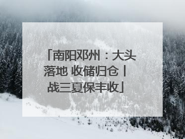 南阳邓州：大头落地 收储归仓丨战三夏保丰收