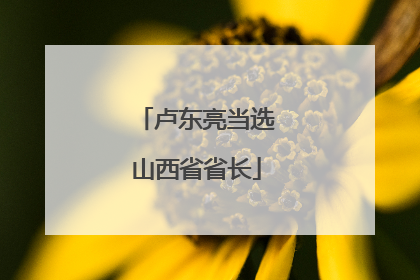 卢东亮当选山西省省长